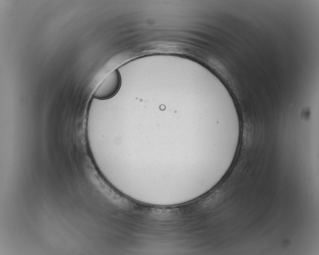 X0000111631378200908141332