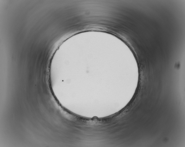 X0000111631379200908141332