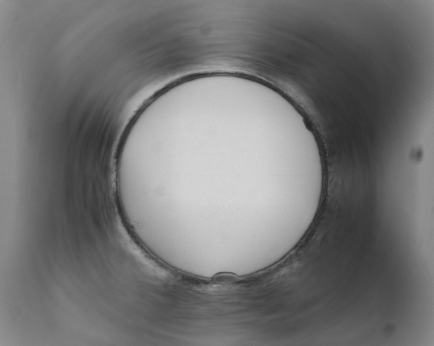 X0000111631380200908141332