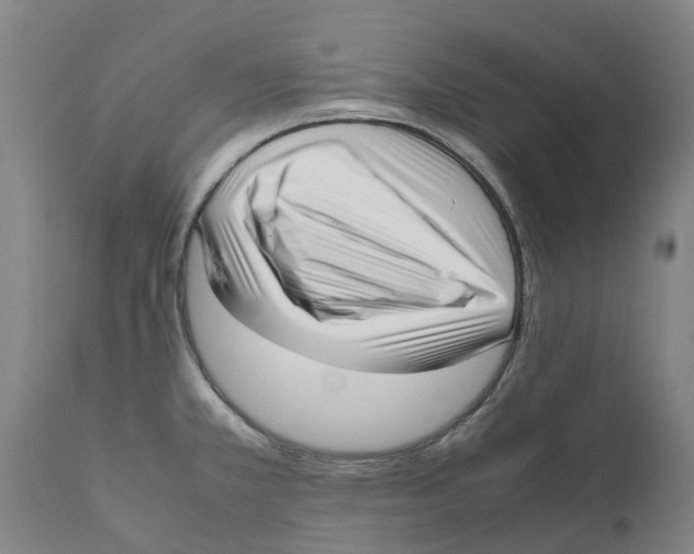 X0000111631381200908141332