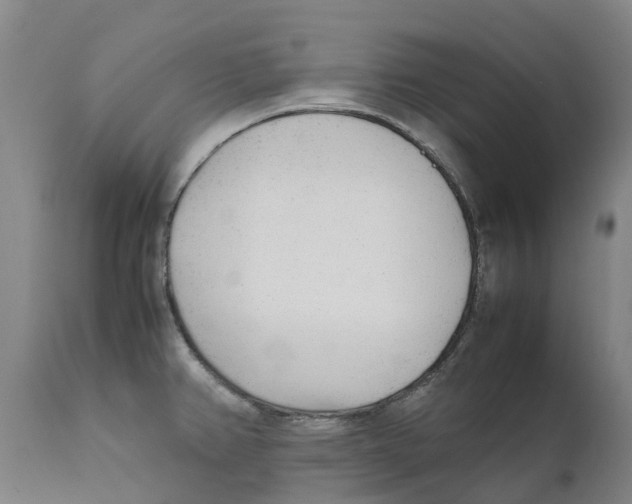 X0000111631382200908141332