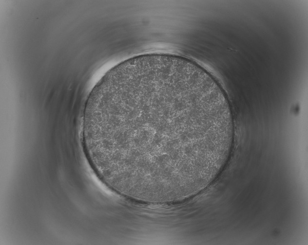 X0000111631383200908141332