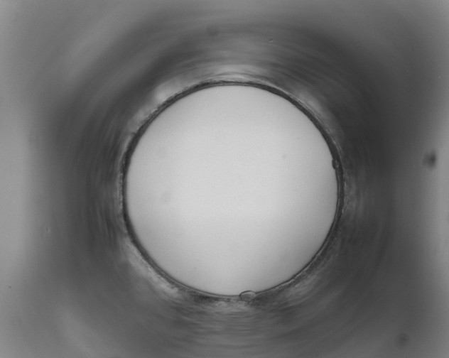 X0000111631384200908141332