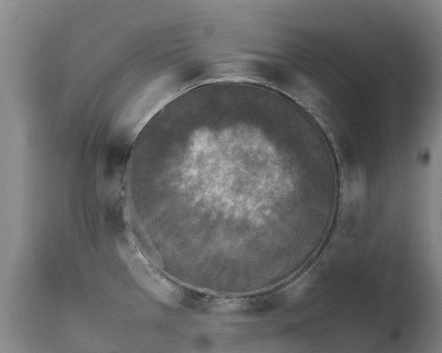 X0000111631385200908141332