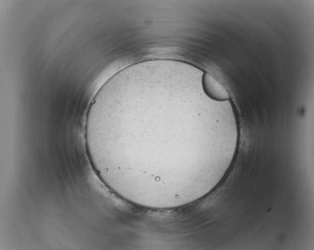 X0000111631386200908141332