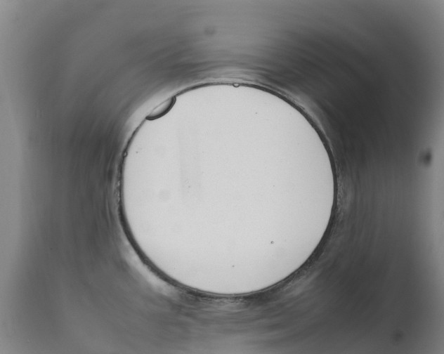 X0000111631387200908141332