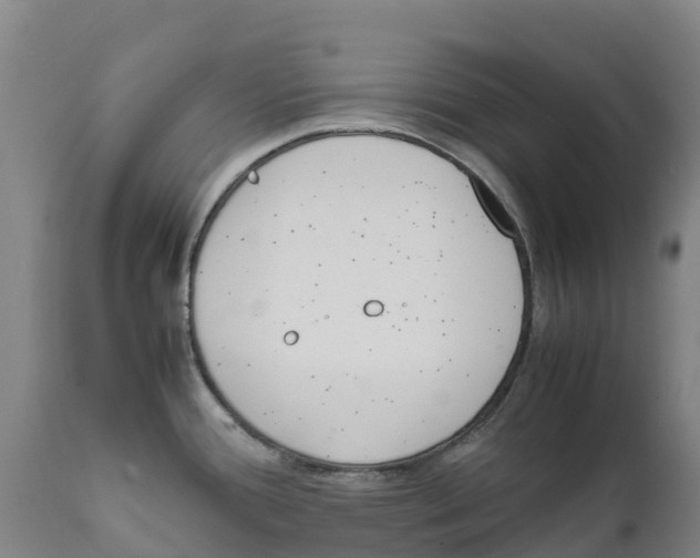 X0000111631388200908141332