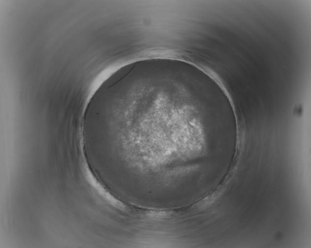 X0000111631389200908141332