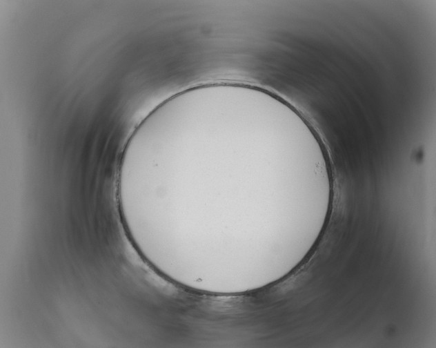 X0000111631390200908141332