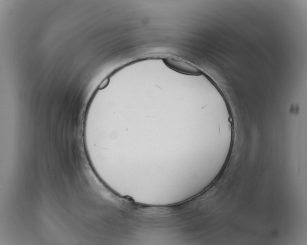 X0000111631392200908141332