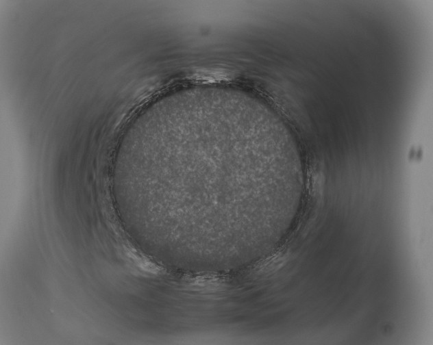X0000111631393200908141331