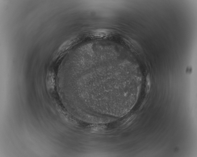 X0000111631394200908141331