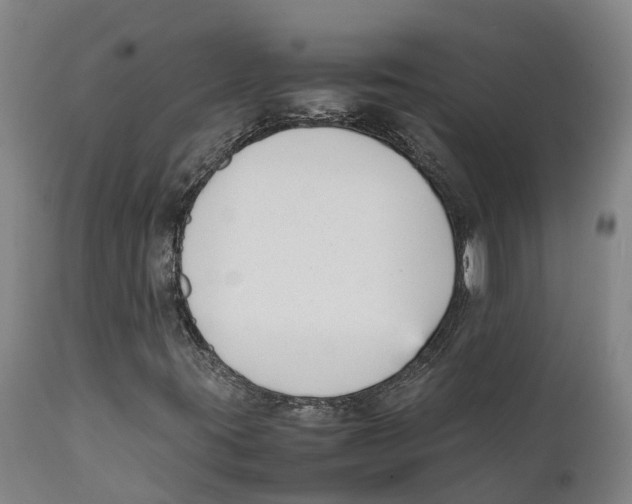 X0000111631395200908141331