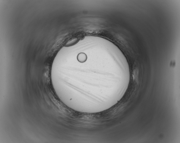 X0000111631396200908141331
