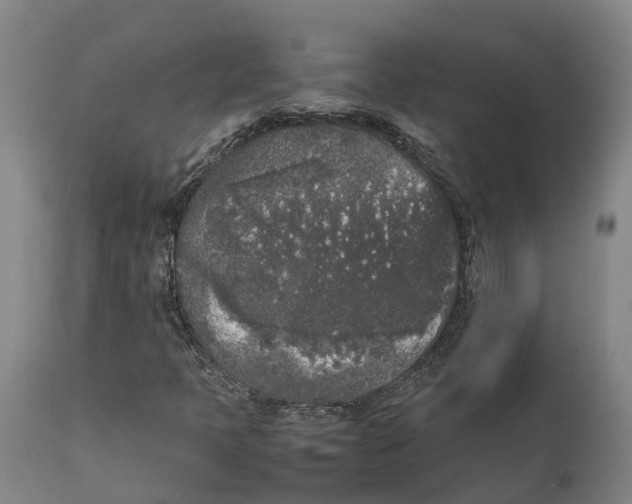 X0000111631397200908141331