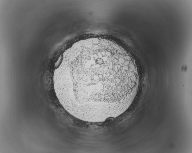X0000111631398200908141331