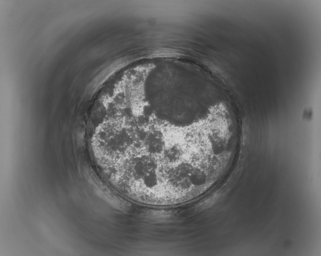 X0000111631401200908141331