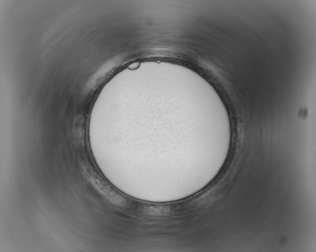 X0000111631403200908141332