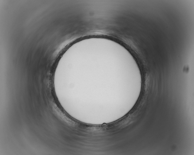 X0000111631404200908141332