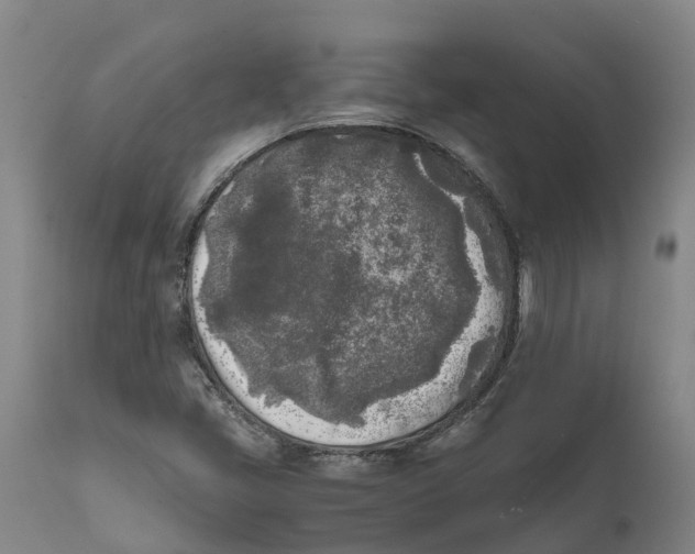 X0000111631405200908141332