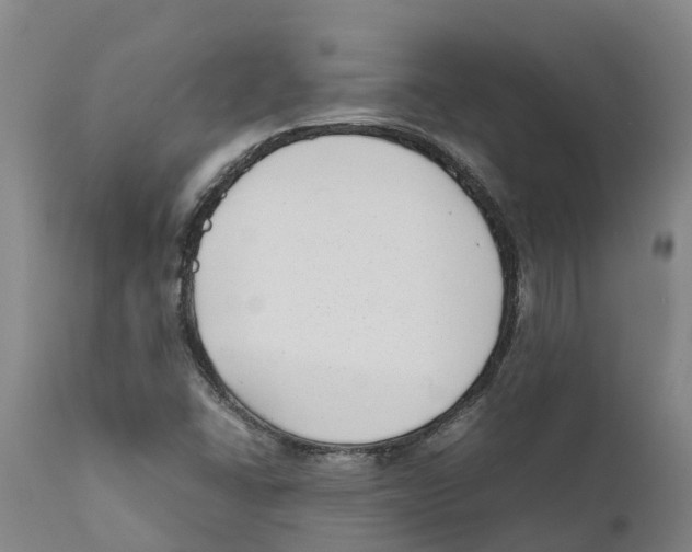 X0000111631406200908141332