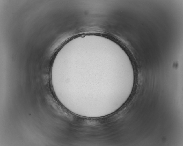 X0000111631407200908141332