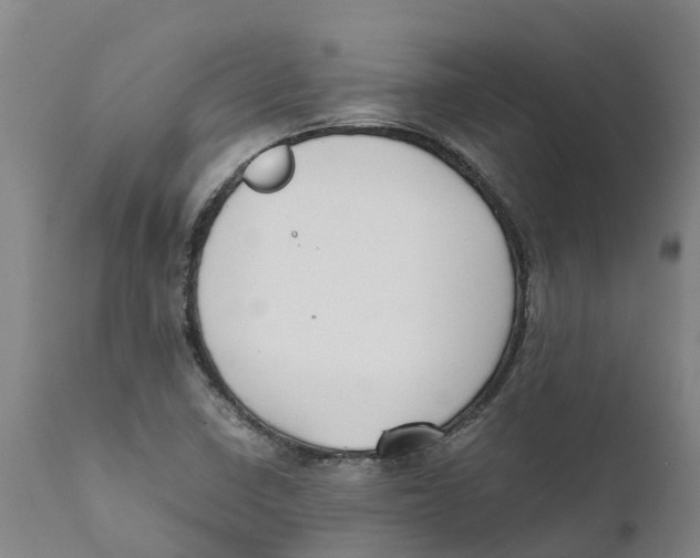 X0000111631410200908141332