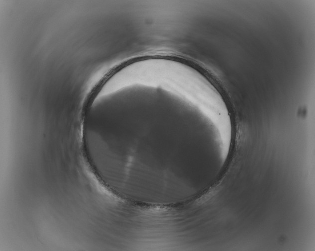 X0000111631414200908141332