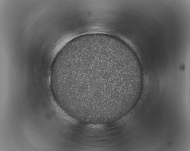 X0000111631415200908141332