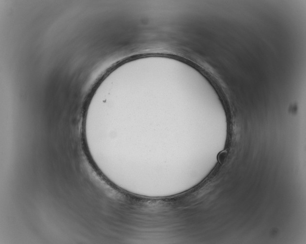 X0000111631416200908141332