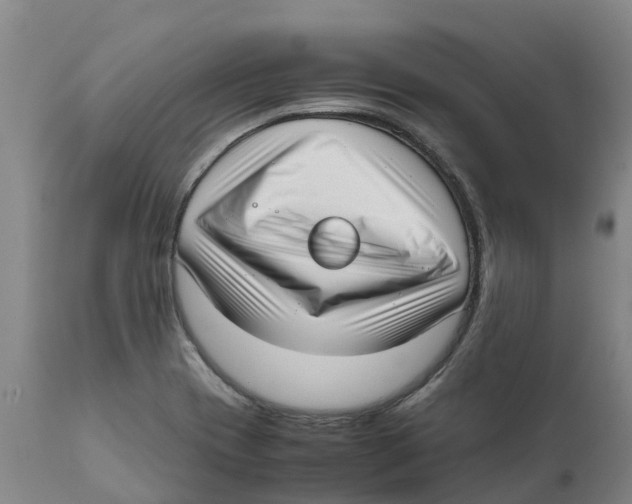 X0000111631417200908141332