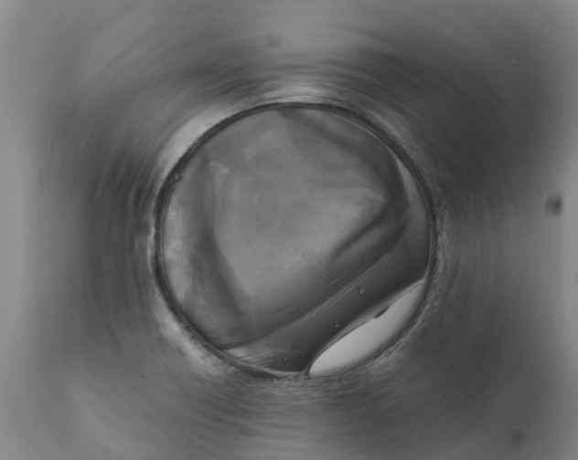 X0000111631418200908141332