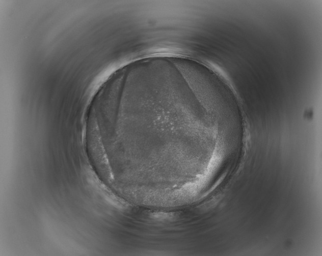X0000111631419200908141332