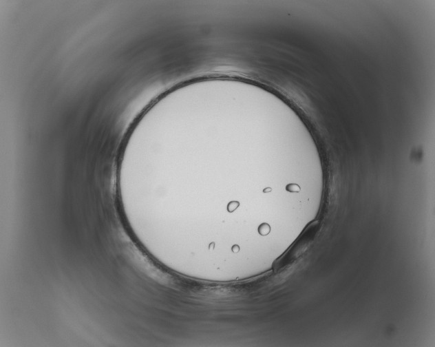 X0000111631420200908141332