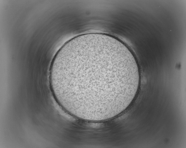 X0000111631423200908141332