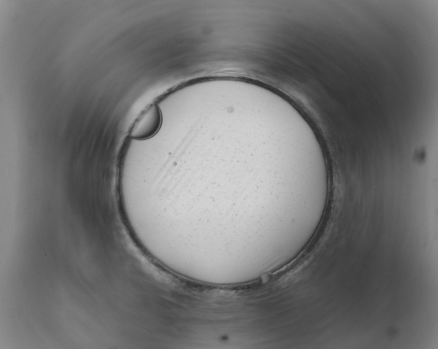 X0000111631424200908141332