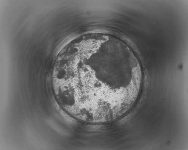 X0000111631425200908141332