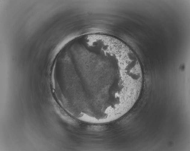 X0000111631427200908141332
