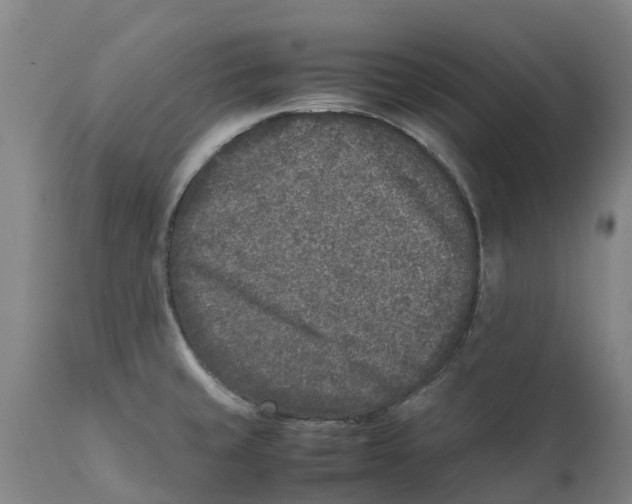 X0000111631429200908141332