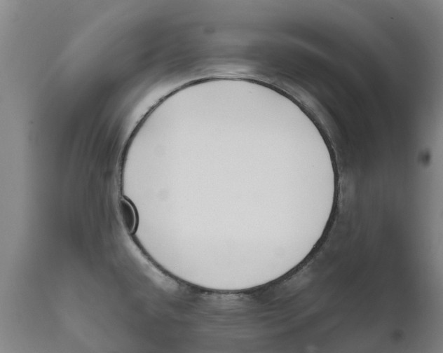 X0000111631432200908141332