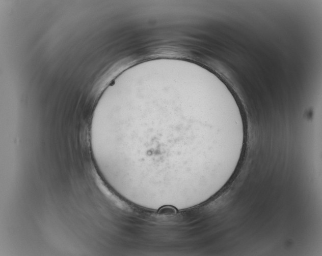 X0000111631433200908141332