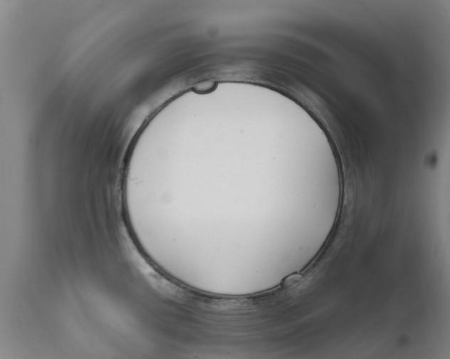X0000111631434200908141332