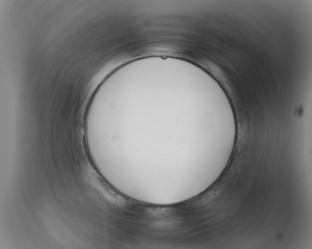 X0000111631435200908141332