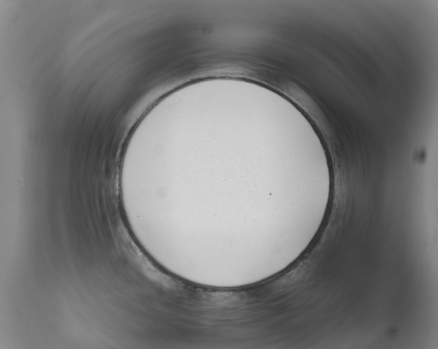 X0000111631436200908141332
