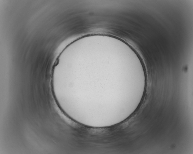 X0000111631437200908141332