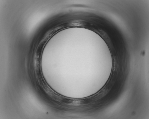 X0000111631438200908141332