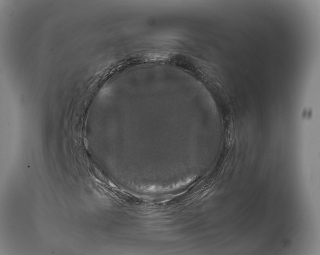 X0000111631441200908141331