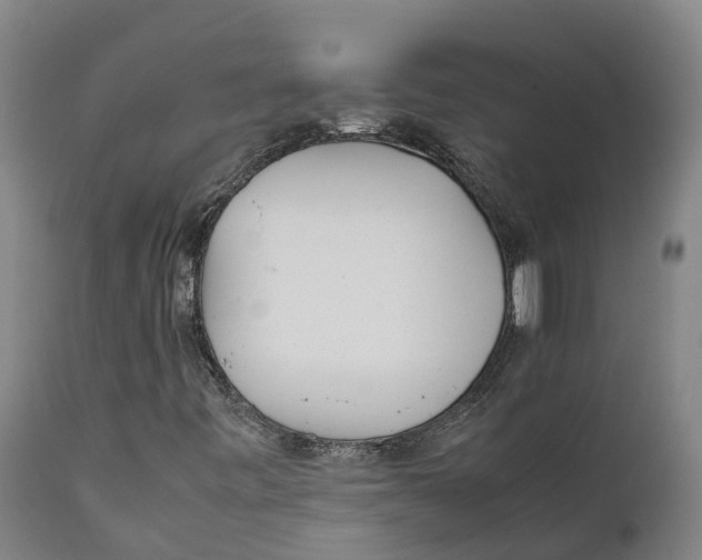 X0000111631443200908141331