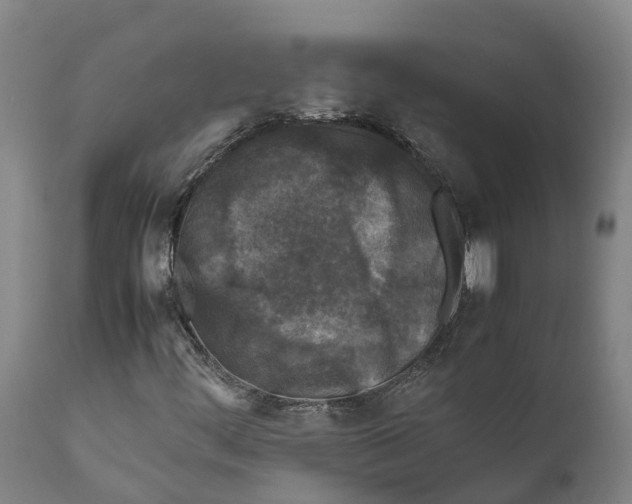 X0000111631444200908141331