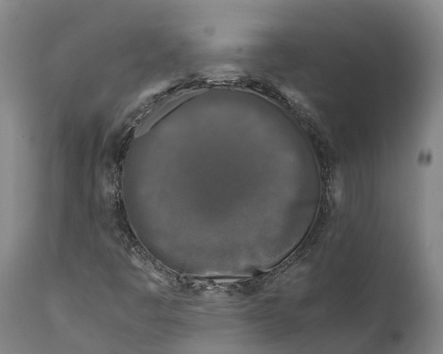 X0000111631445200908141331